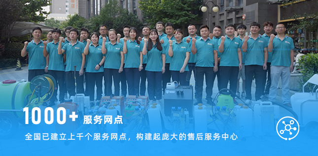 長沙消毒公司,長沙白蟻防治